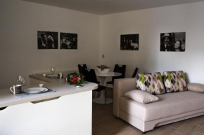  Rakuscha Apartment  Загреб